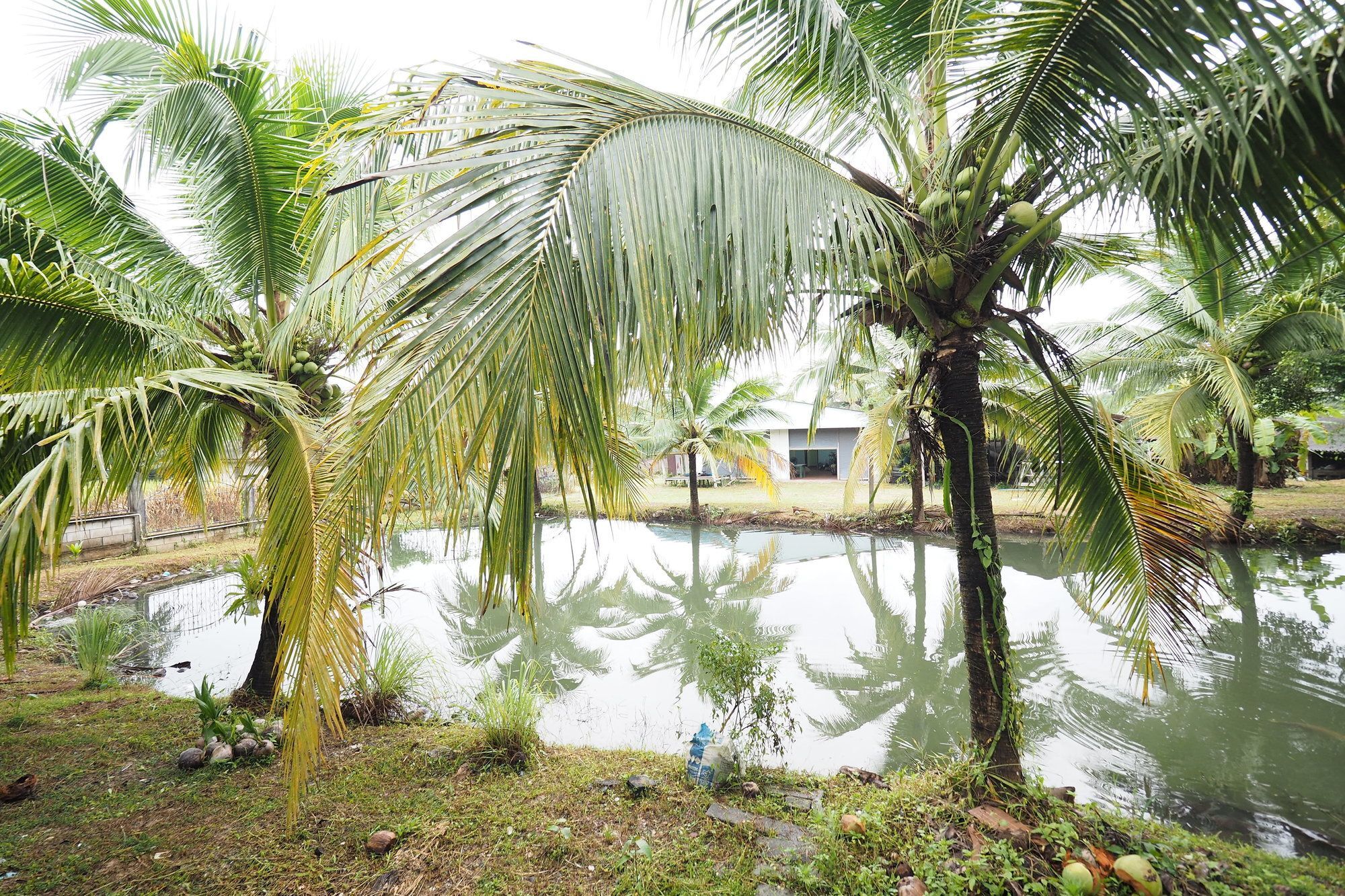 Oyo 75515 Sairung Farmstay Krabi town Екстериор снимка
