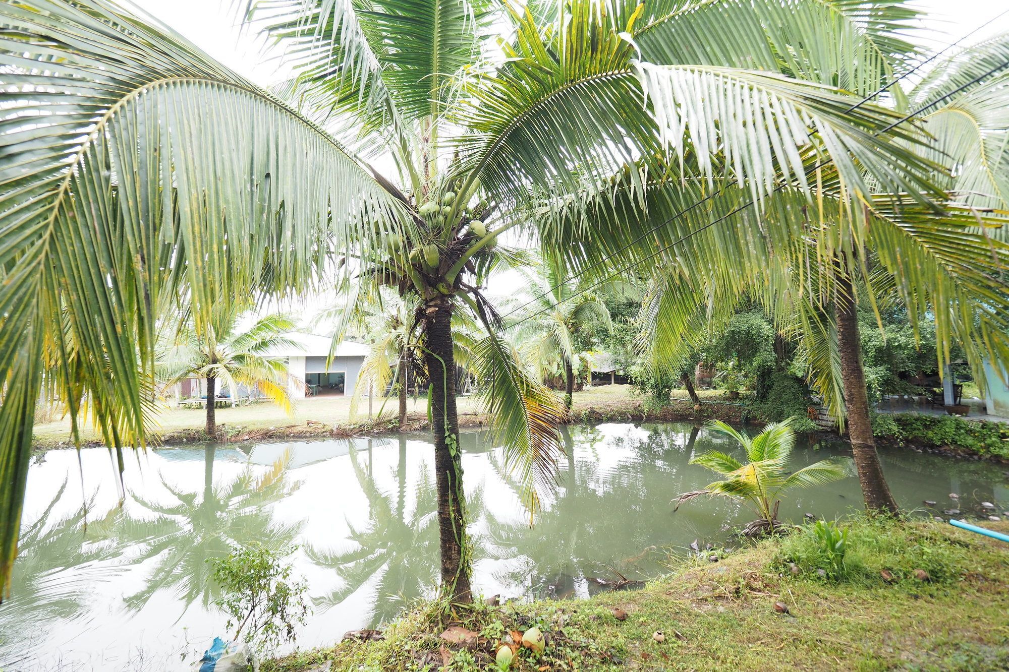 Oyo 75515 Sairung Farmstay Krabi town Екстериор снимка
